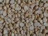Macadamias