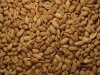 Roasted Peanuts