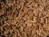 Walnuts
